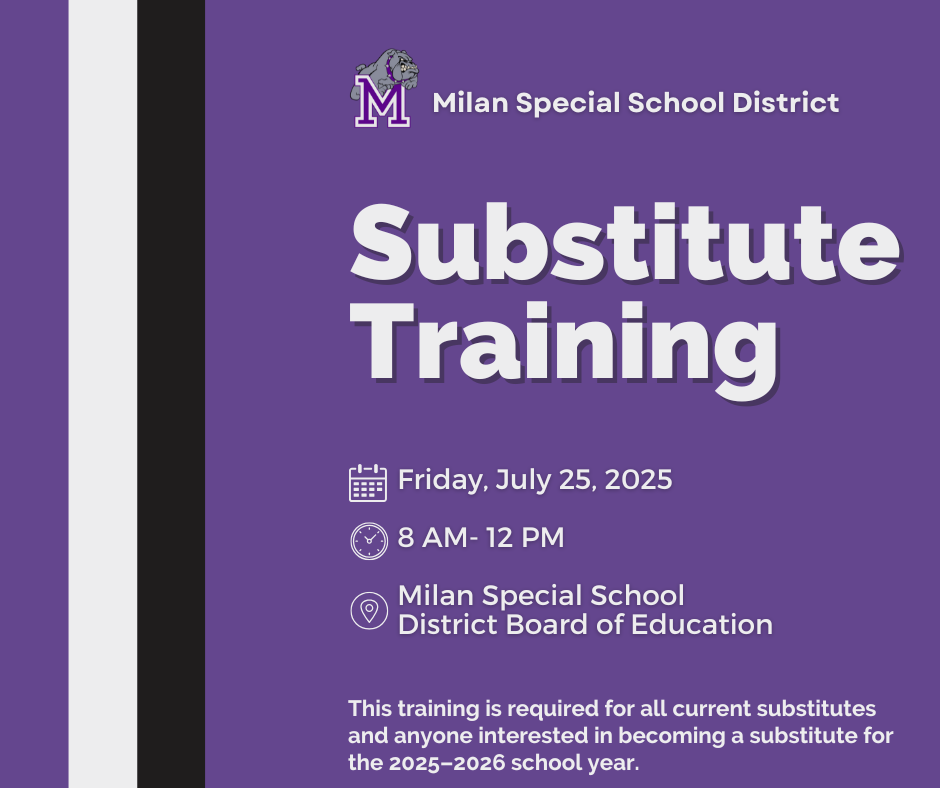 Substitute Training