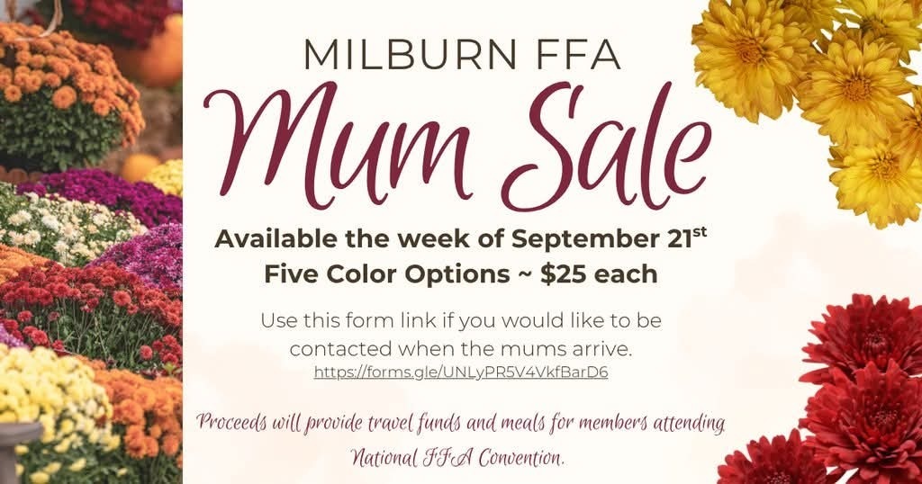 mum flyer