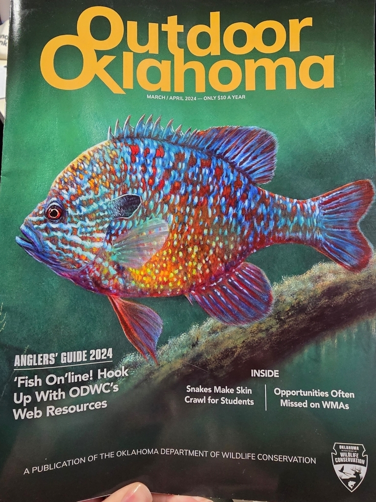 🐟