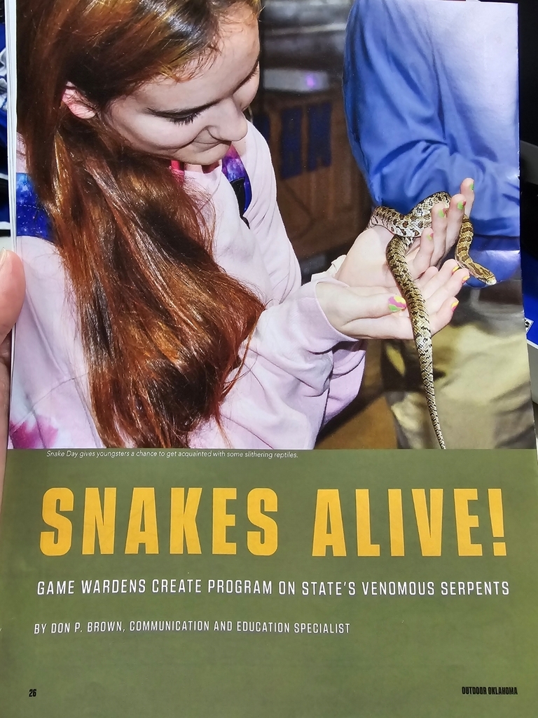 🐍