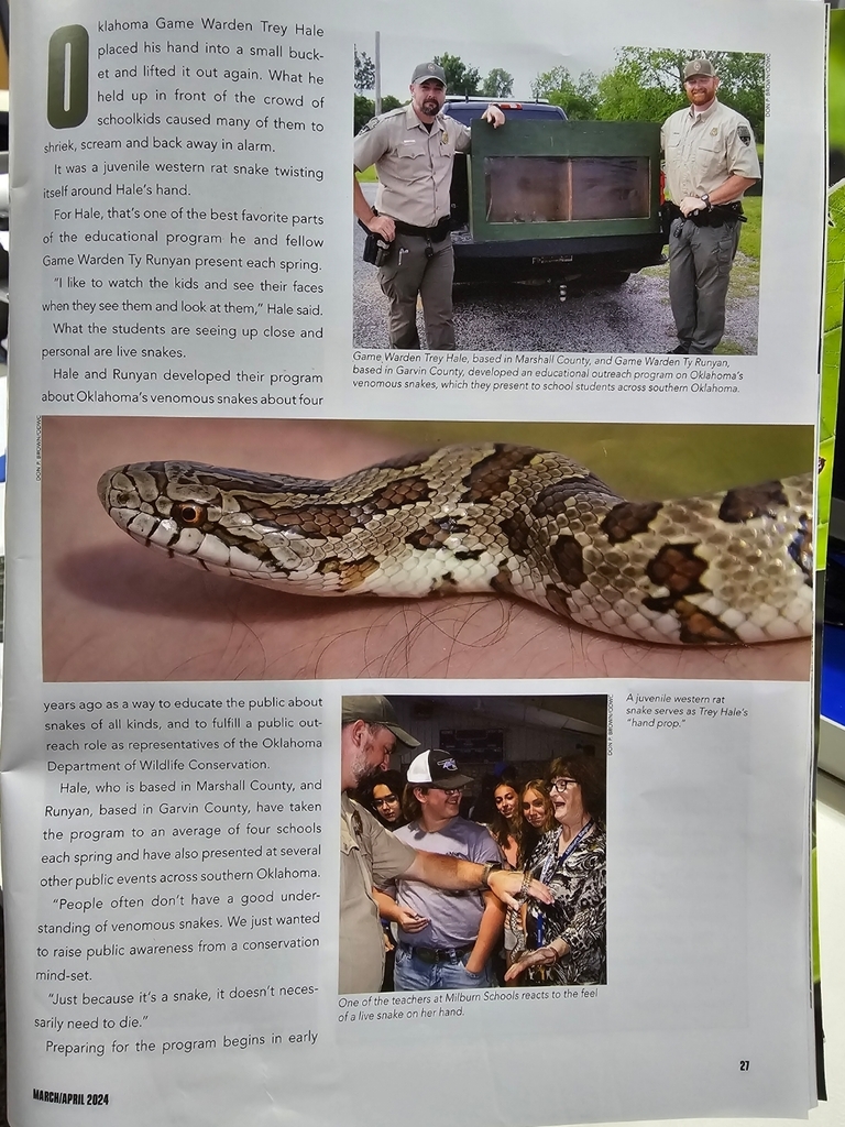 🐍