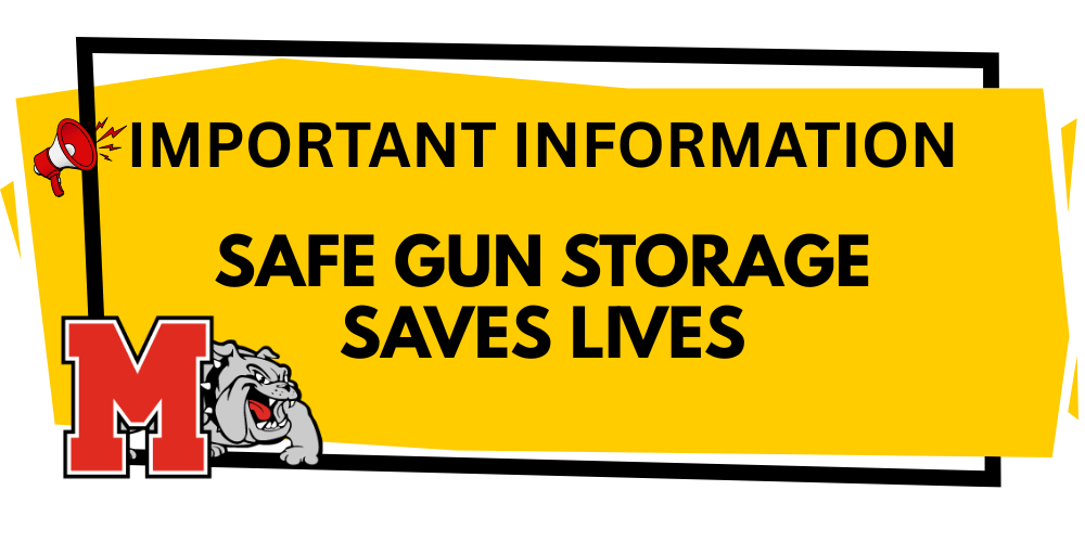 Safe Gun Storage