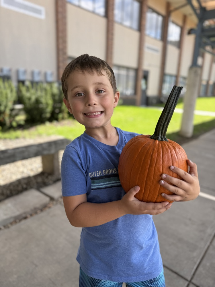 pumpkin