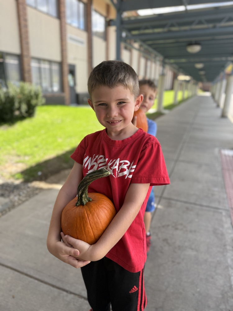 pumpkin