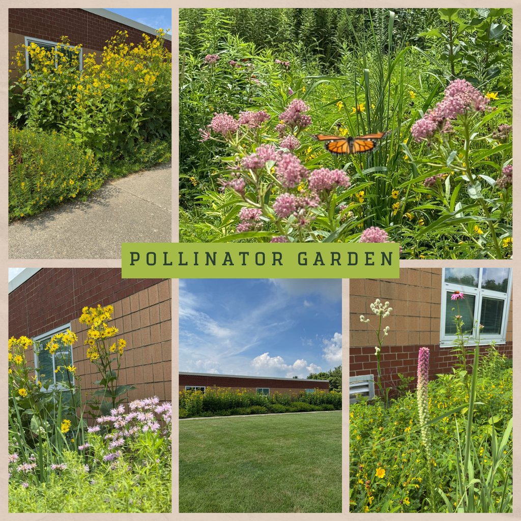 Pollinator Garden
