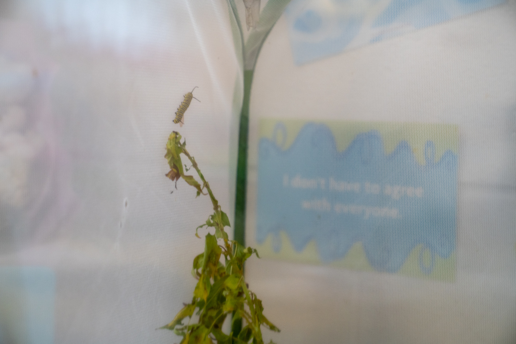 A caterpillar against a net