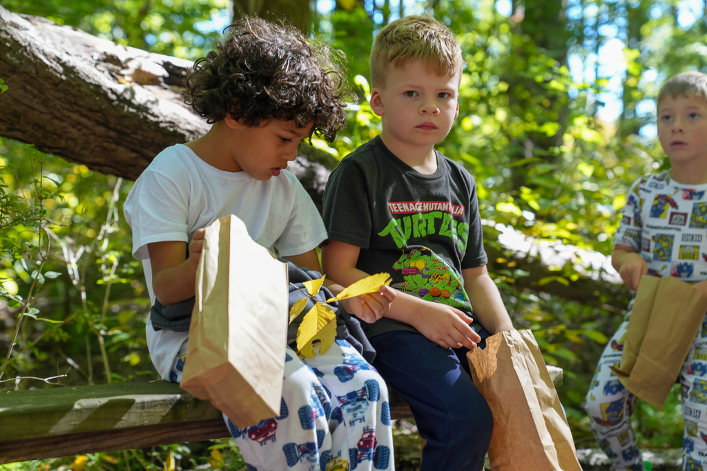 Boy with curly black hair next to a boy with blonde hair