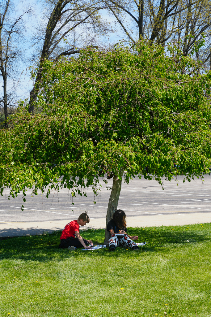Two elementary students sit on the grass under a leafy tree, reading and working on assignments in the shade on a sunny day.