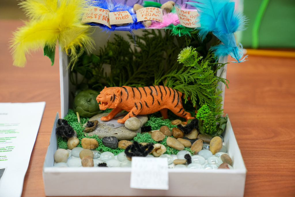 A student-made diorama shows a tiger habitat inside a box, decorated with plants, rocks, feathers, and small labels describing the environment.