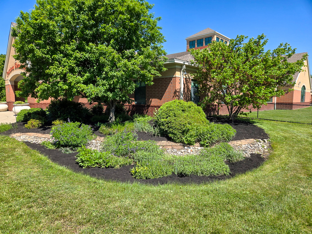 A landscaped garden bed outside a brick school building features neatly arranged shrubs, flowering plants, and fresh mulch with trees providing shade.