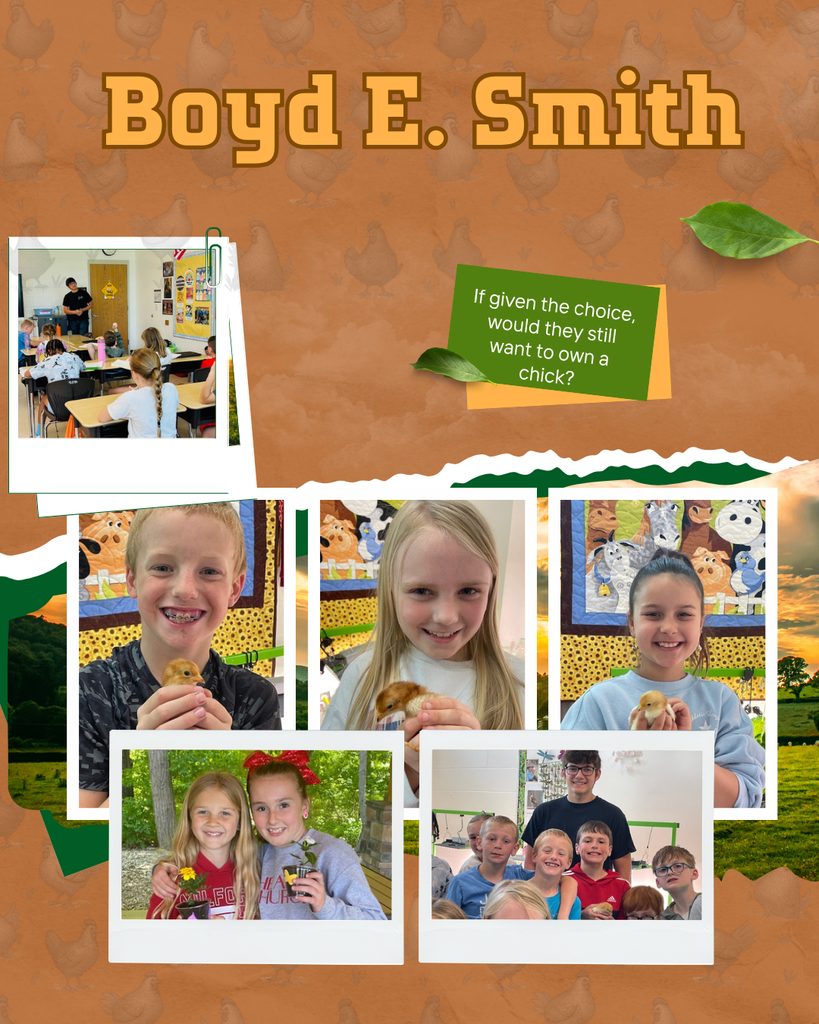 Farm-themed graphic for Boyd E. Smith Elementary featuring photos of students learning about chicken ownership, holding baby chicks, and participating in classroom activities. The collage includes a classroom presentation by a Milford High School student and the question, “If given the choice, would they still want to own a chick?”