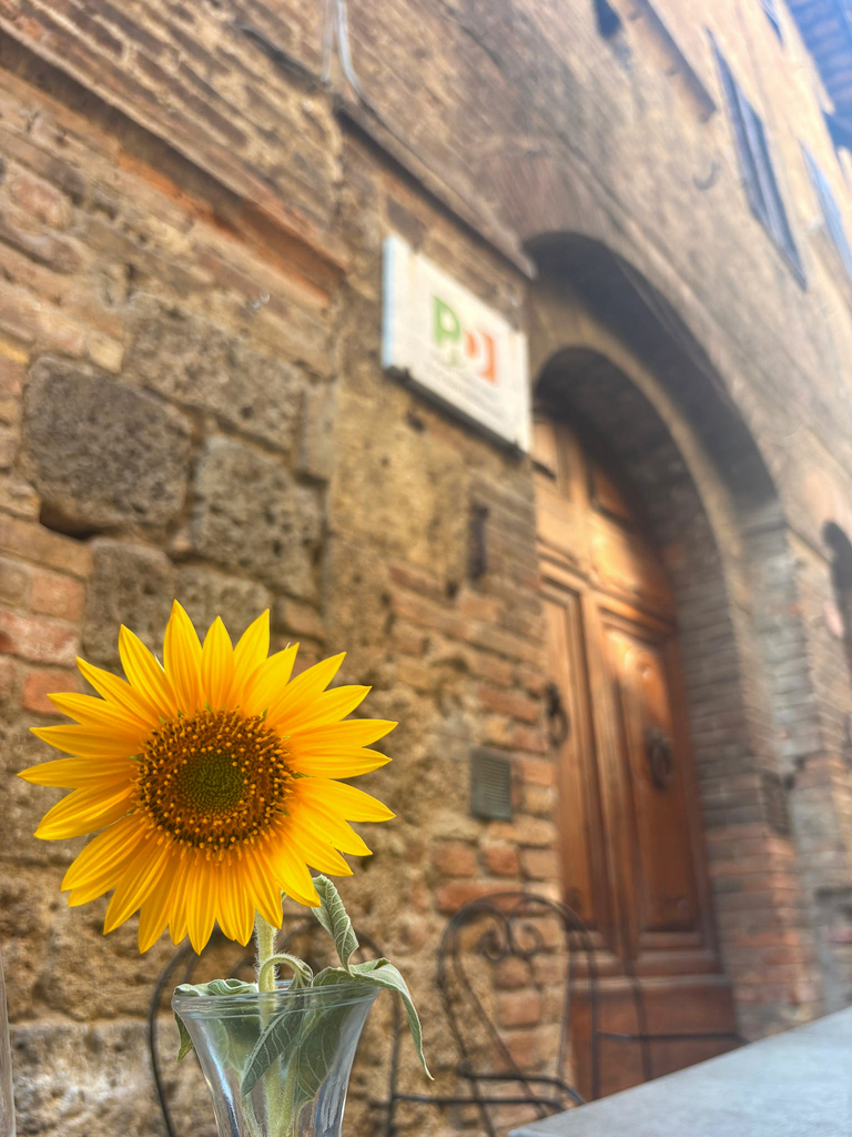  A bright yellow sunflower sits in a glass vase outside a rustic stone building in Tuscany.