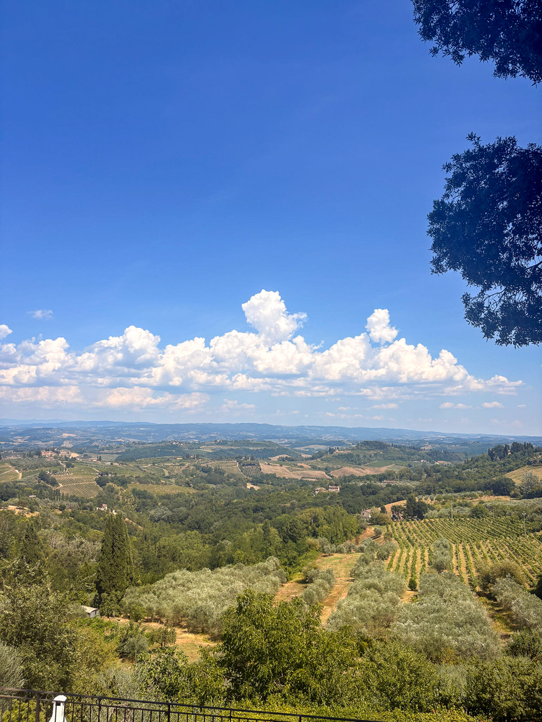 A panoramic view of the Tuscan countryside shows rolling green hills, vineyards, olive groves and farmland beneath a bright blue sky filled with white clouds.