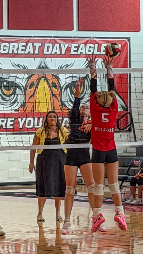Two girls going to spike a ball