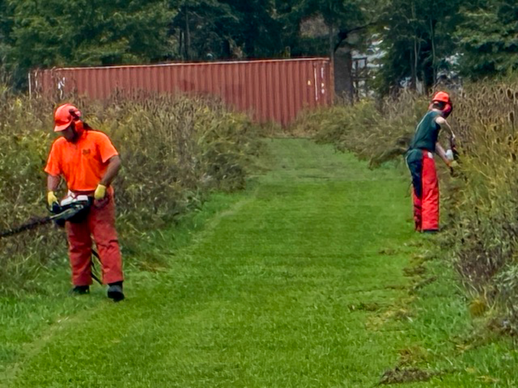 Two students wearing protective helmets, face shields and orange safety chaps use powered cutting tools to trim overgrowth along a grassy section of the cross-country course.