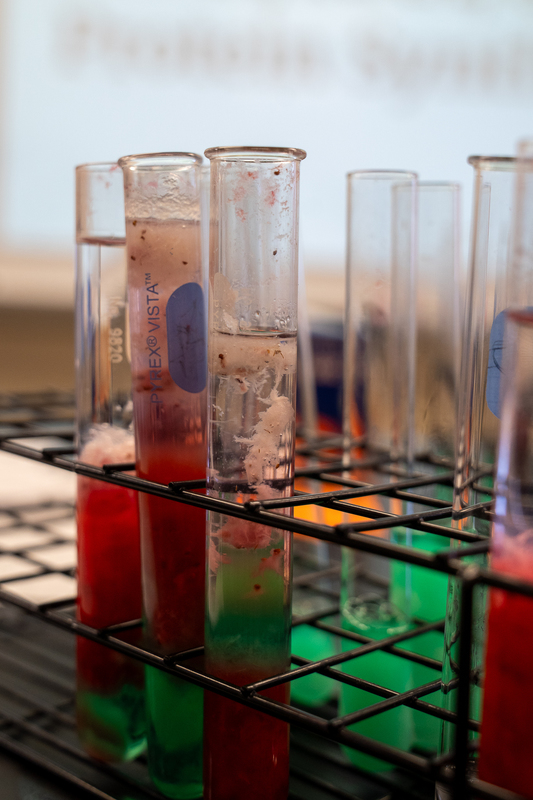 test tubes with green and red liquid and a clump of white
