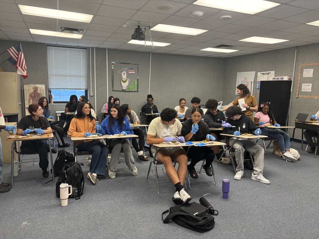 🔬🩺 Medical Terminology in Action! 🩺🔬 Today our students got hands-on with a dissection to explore body planes and anatomical positions. ✂️📚 Learning comes alive when we can see and do—and our Bulldogs had fun diving into the details of anatomy while building real-world skills! 💙🤍 #TheBulldogWay #HandsOnLearning #FutureMedicalProfessionals