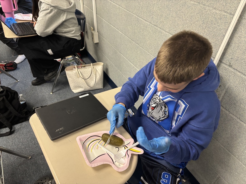 🔬🩺 Medical Terminology in Action! 🩺🔬 Today our students got hands-on with a dissection to explore body planes and anatomical positions. ✂️📚 Learning comes alive when we can see and do—and our Bulldogs had fun diving into the details of anatomy while building real-world skills! 💙🤍 #TheBulldogWay #HandsOnLearning #FutureMedicalProfessionals