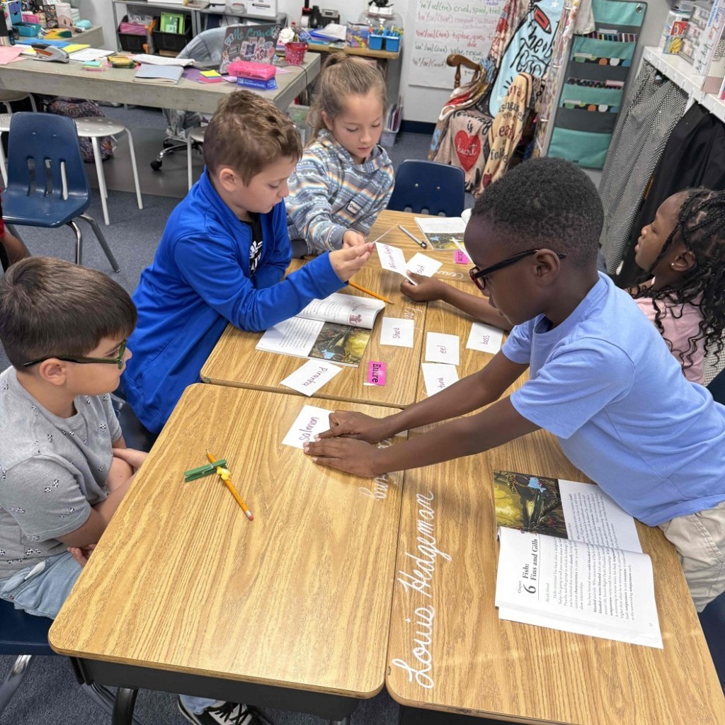 Our 3rd grade scientists hard at work! 🔬🐟 Today they classified different kinds of fish while reading about fins and gills. Hands-on learning + teamwork = success!