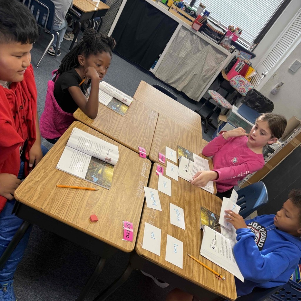 Our 3rd grade scientists hard at work! 🔬🐟 Today they classified different kinds of fish while reading about fins and gills. Hands-on learning + teamwork = success!