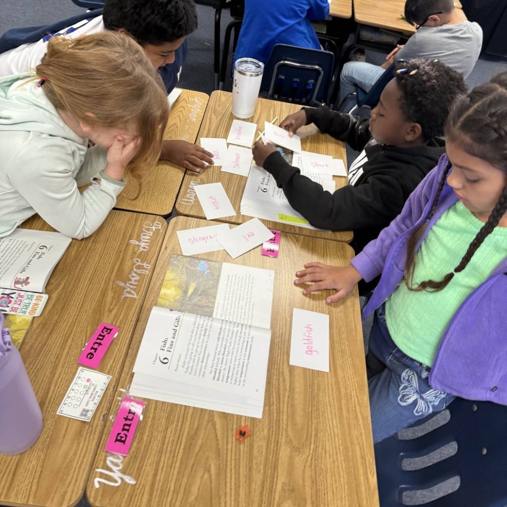Our 3rd grade scientists hard at work! 🔬🐟 Today they classified different kinds of fish while reading about fins and gills. Hands-on learning + teamwork = success!