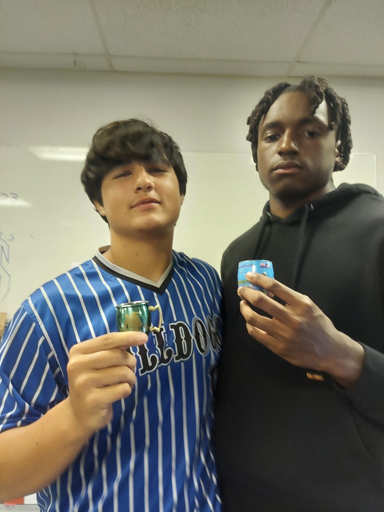 Students learn about micro systems
