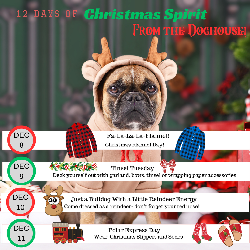 The countdown to Christmas continuing this week Join us for our 12 Days of Christmas from the Doghouse — 12 days of fun, festive, Bulldog-style holiday spirit! 🎄💙✨