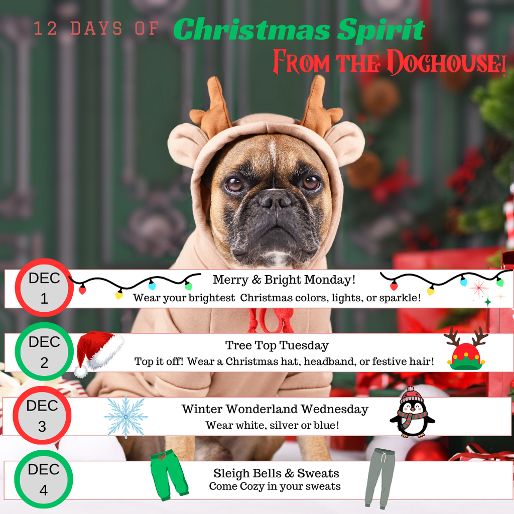 The countdown to Christmas starts tomorrow! Join us for our 12 Days of Christmas from the Doghouse — 12 days of fun, festive, Bulldog-style holiday spirit! 🎄💙✨