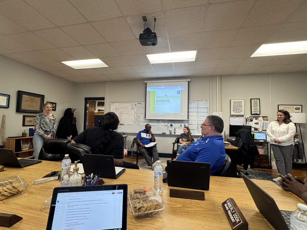 Mentors Care presentation at the March Board Meeting