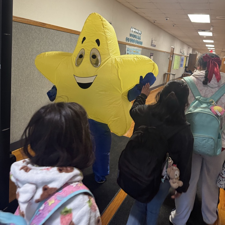 celebrating staar 