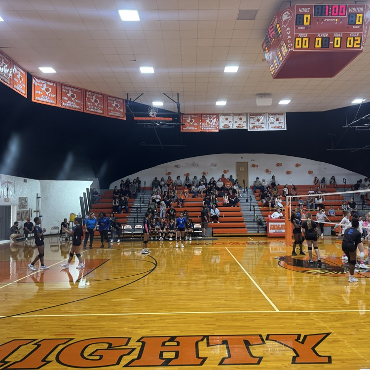 volleyball at Avalon