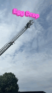 egg drop