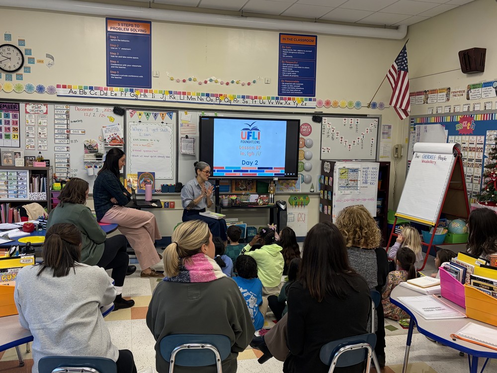 professional learning