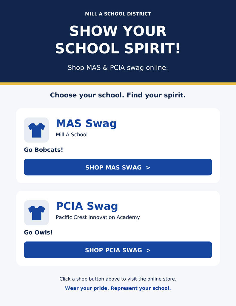 Swag Flyer