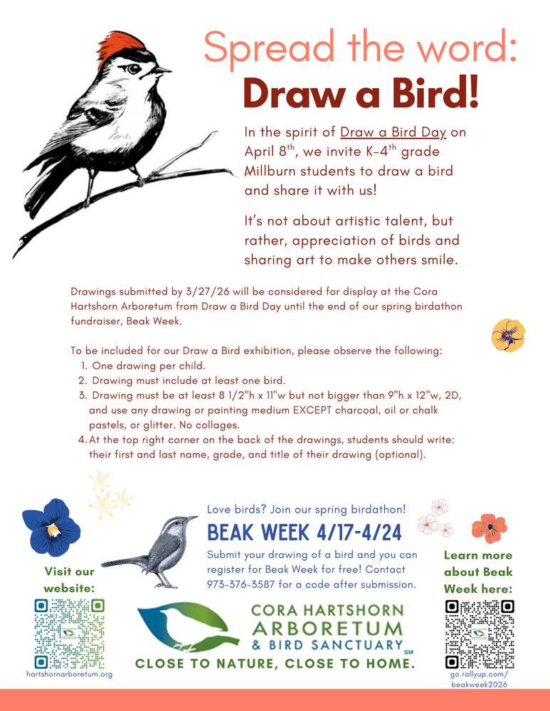 Draw a Bird