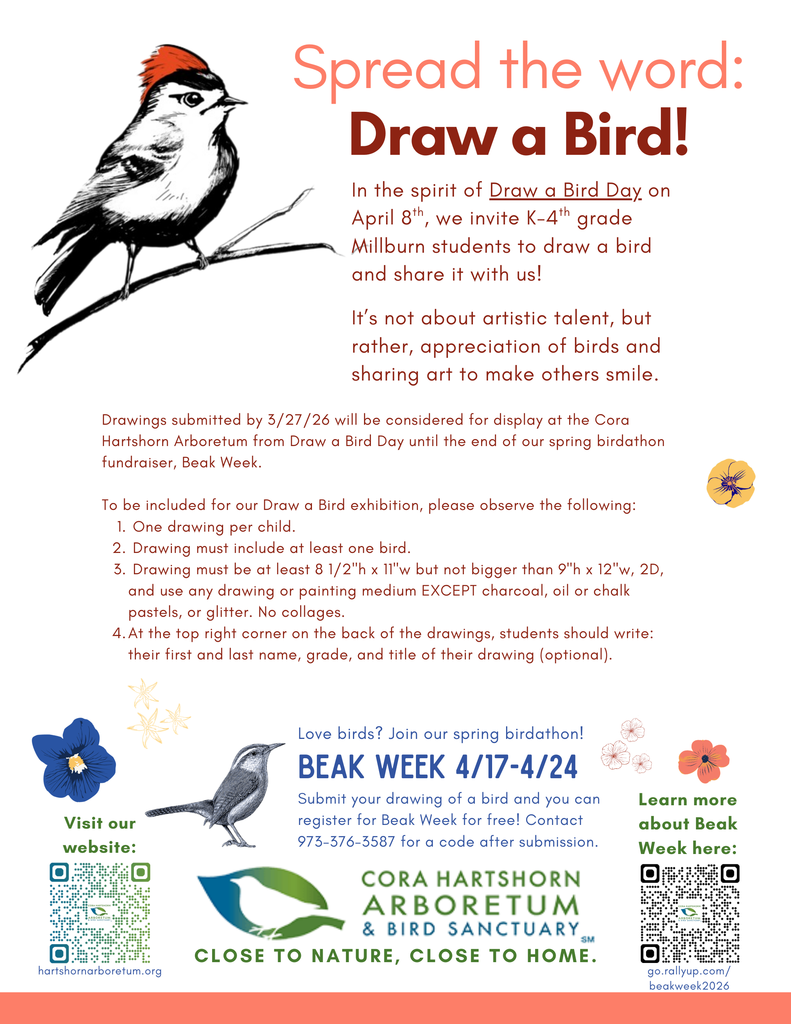 Draw a Bird