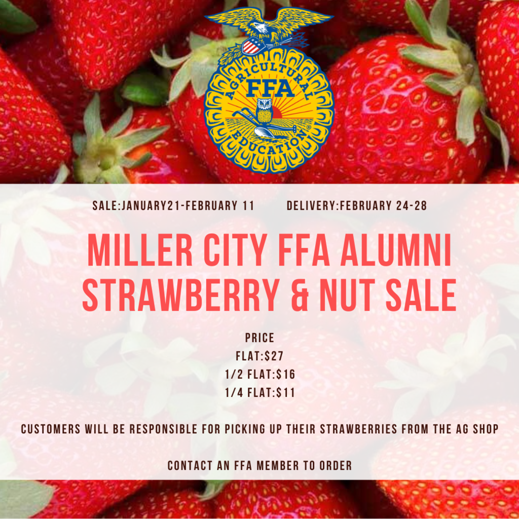 strawberry sale