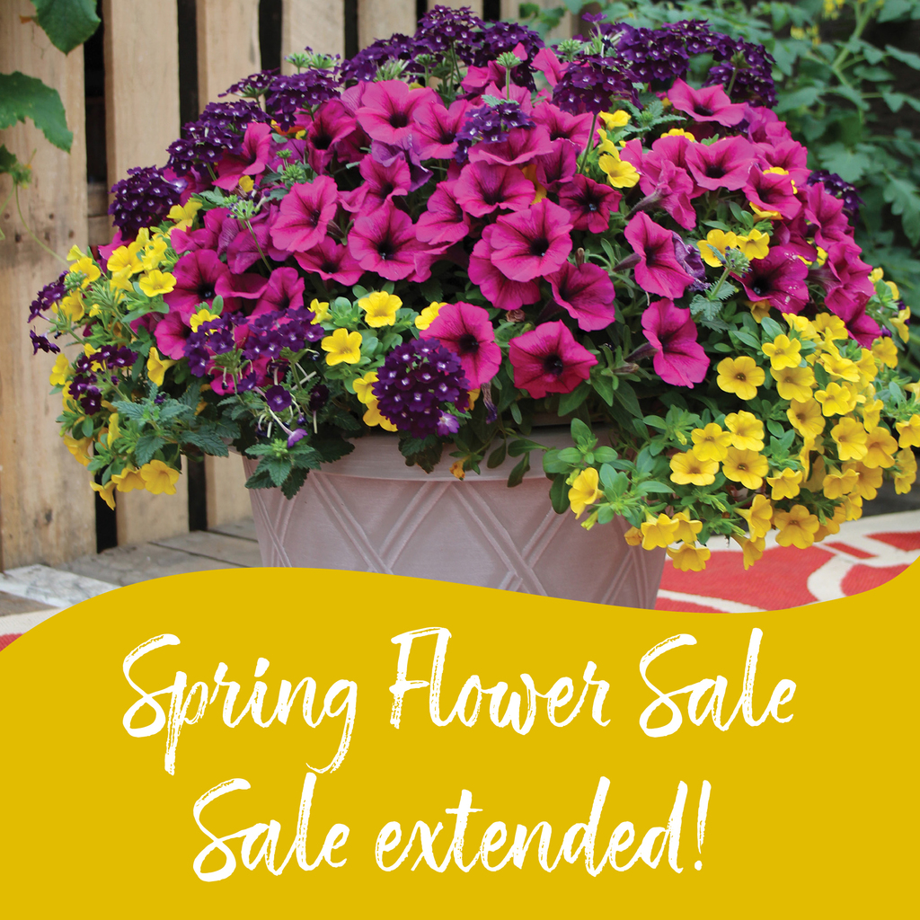 planter extended sale