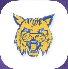App pic