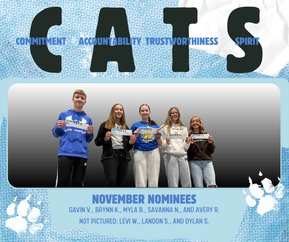 CATS (November Nominations)