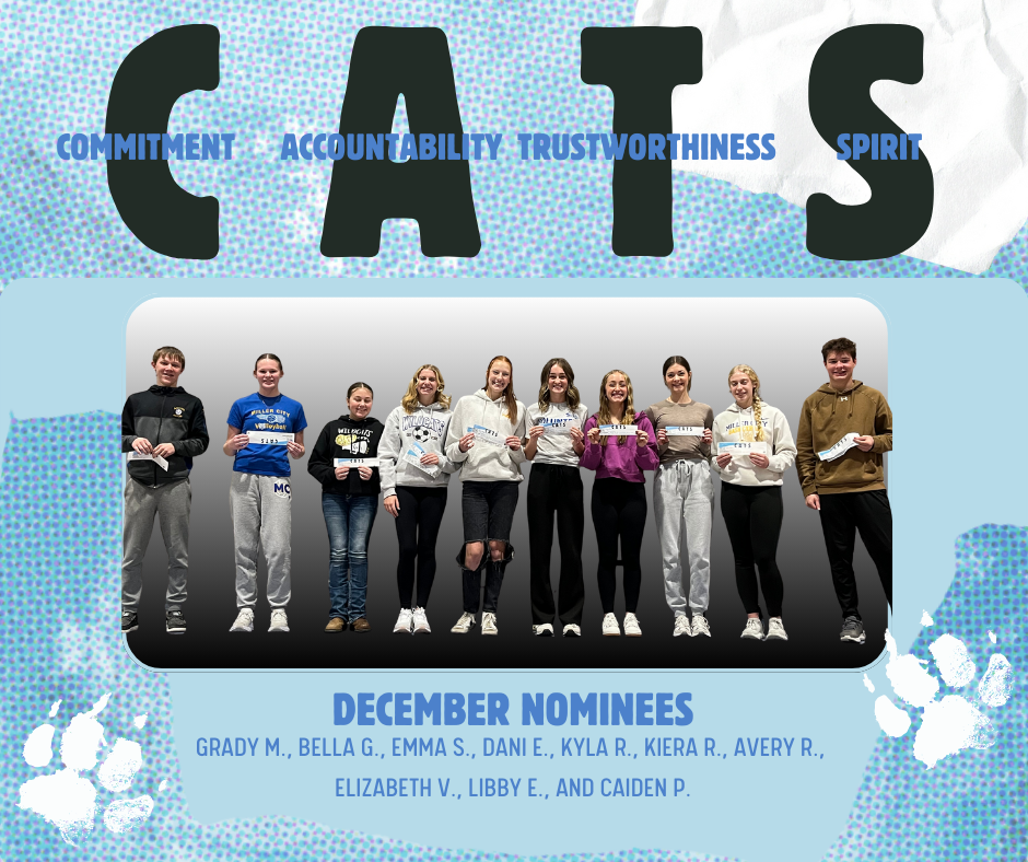 CATS (December Nominations)