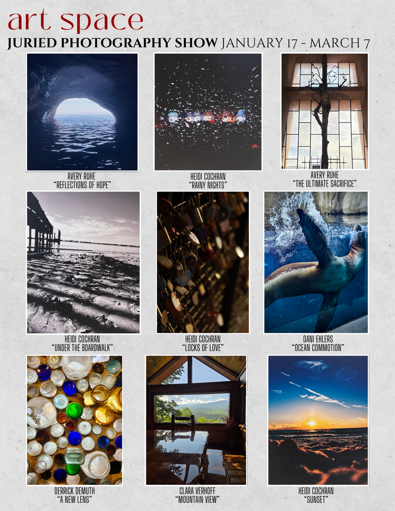 Art Space Photography Show