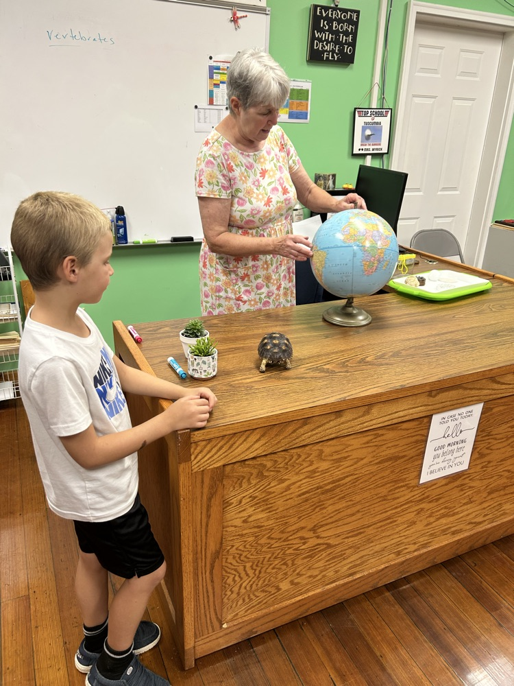 turtle lesson 