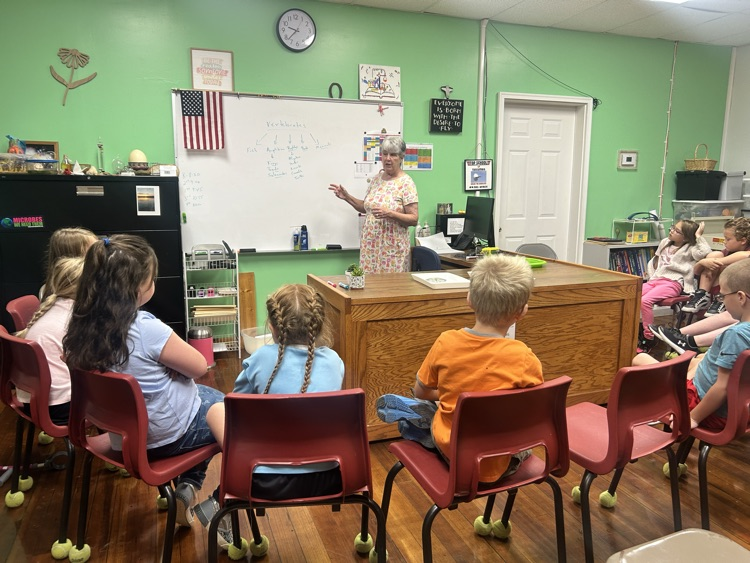 turtle lesson 