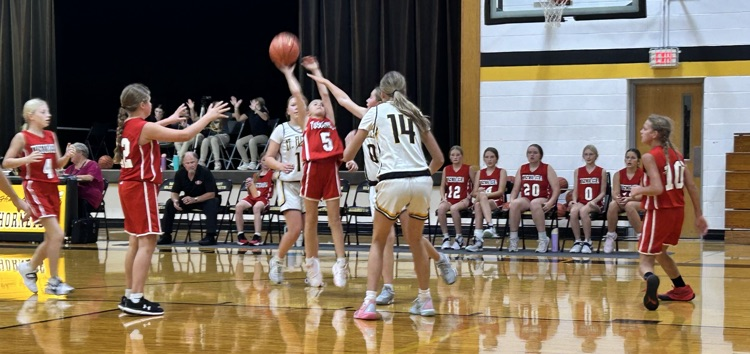 bball