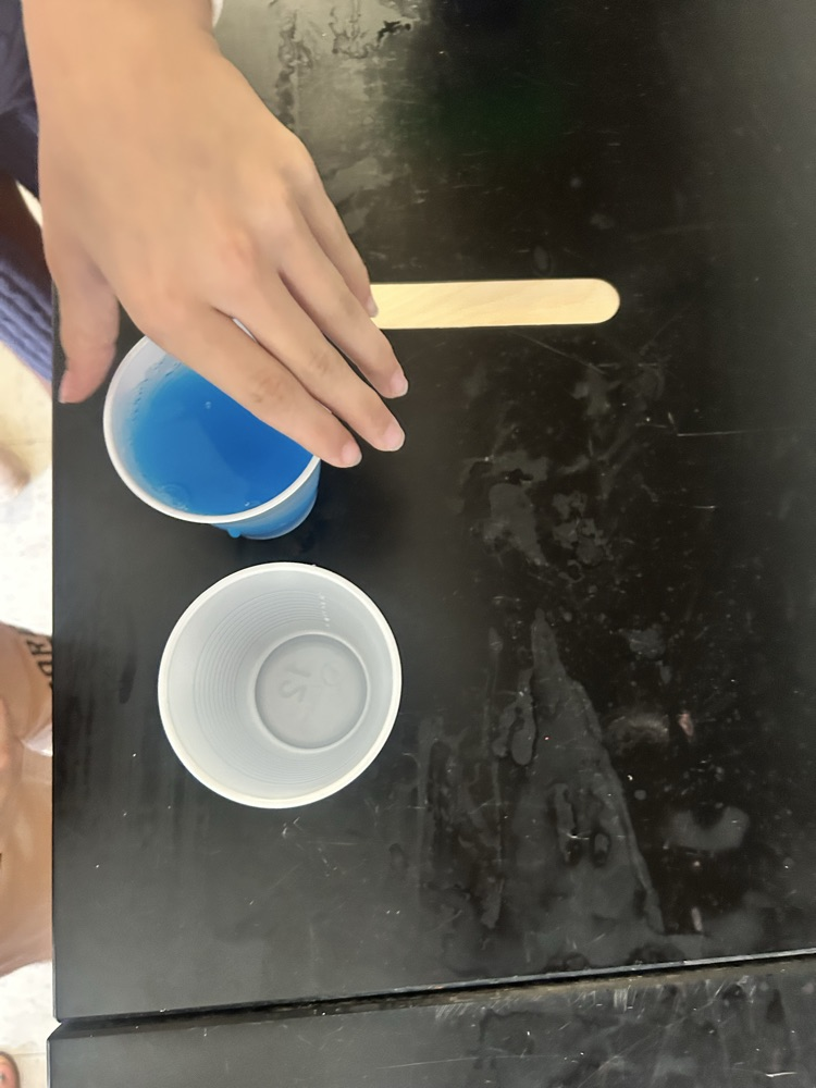 5th grade science