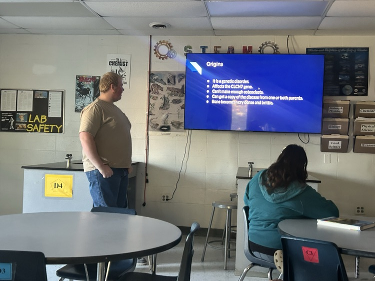 presentation 