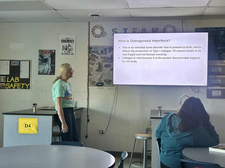 presentation