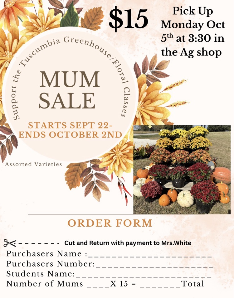 mum sale 