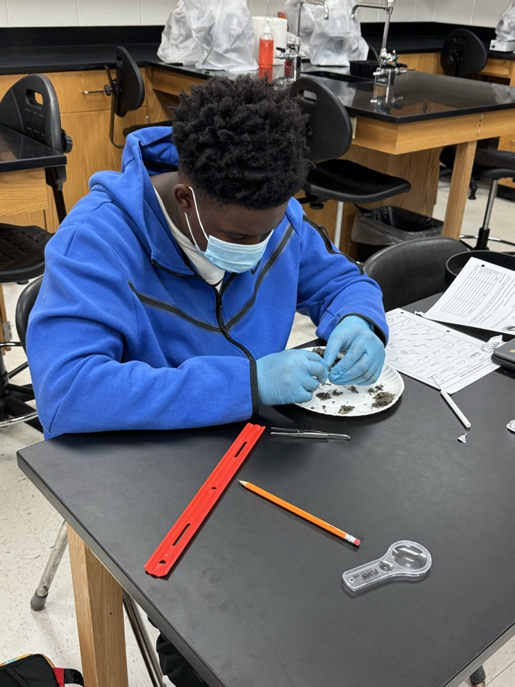 dissection